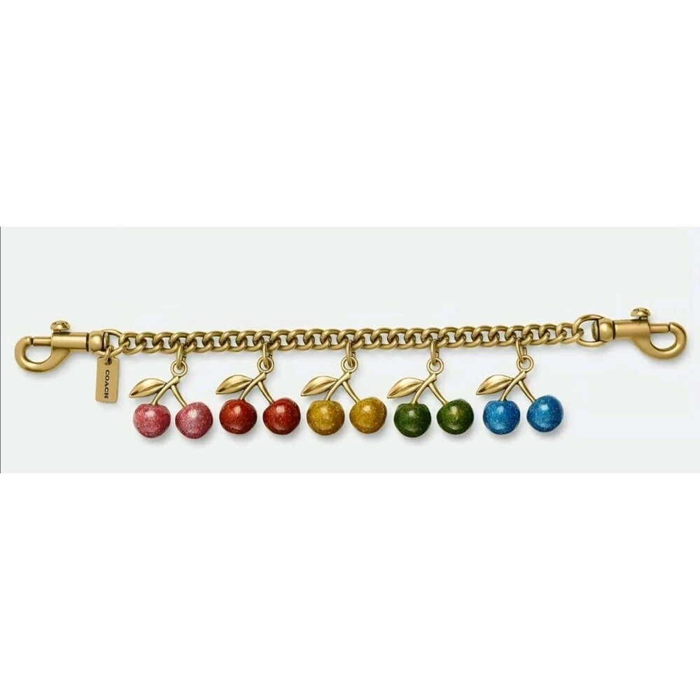 COACH Rainbow Cherries Cherry Chain Bag Charm for Handbag Purse Tote Pride -nwt